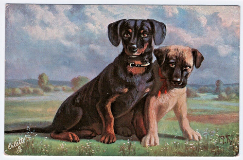 Dogs dachshund vintage - 2,